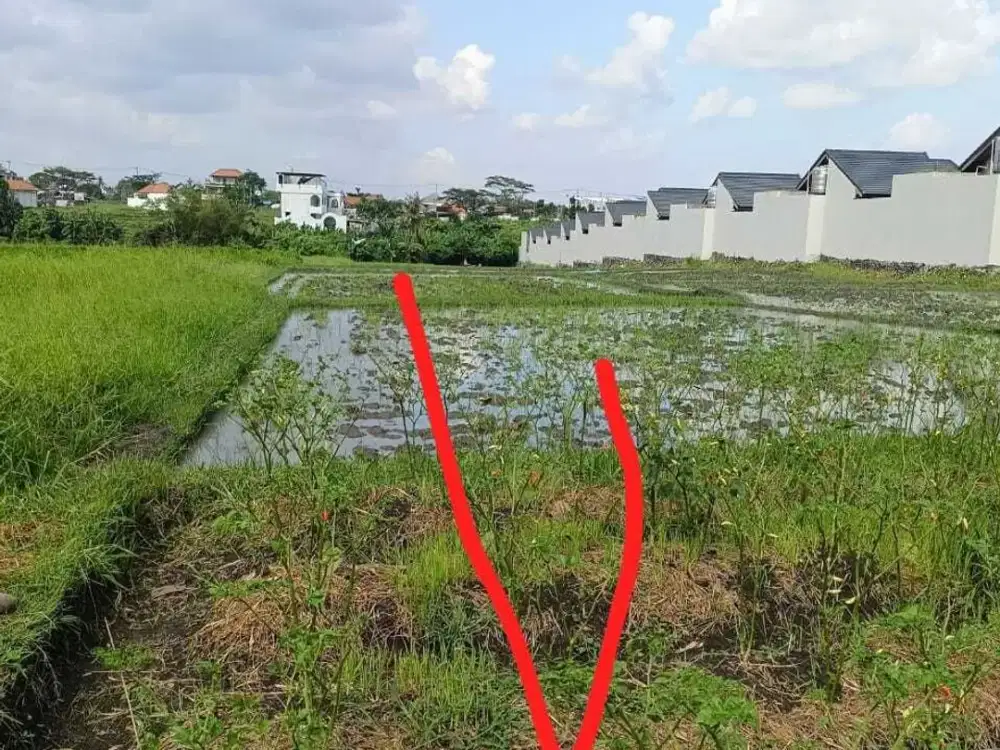 Land for sale in Mengwi, Bali