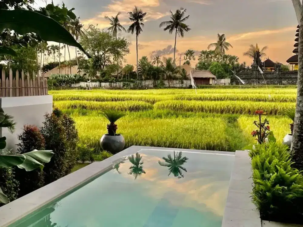 2 Bedroom Villa for sale in Mengwi, Bali