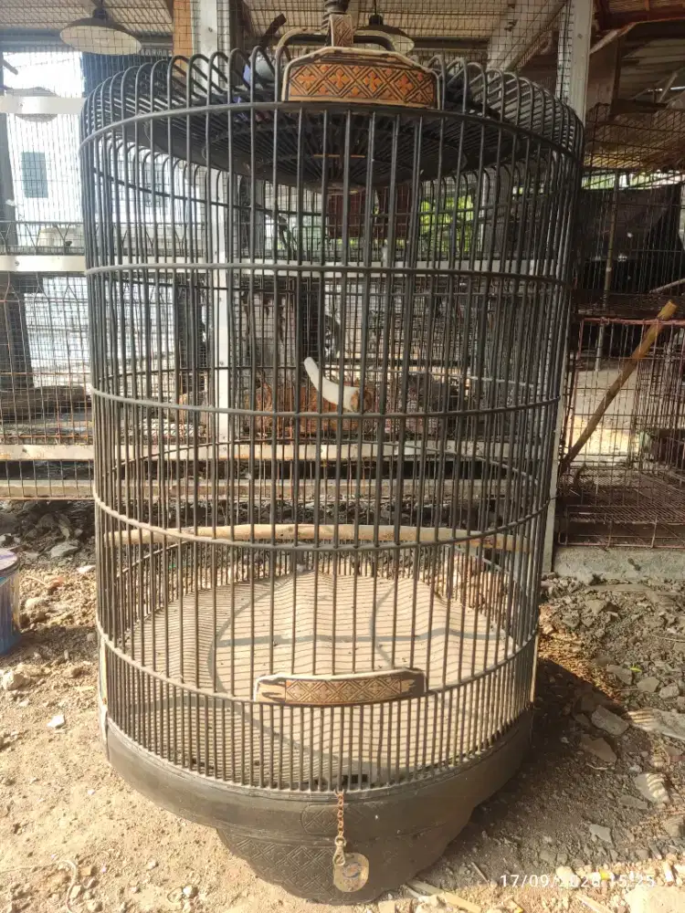 Kandang Murai Ebod Sangkar Murai Ebod No. 1