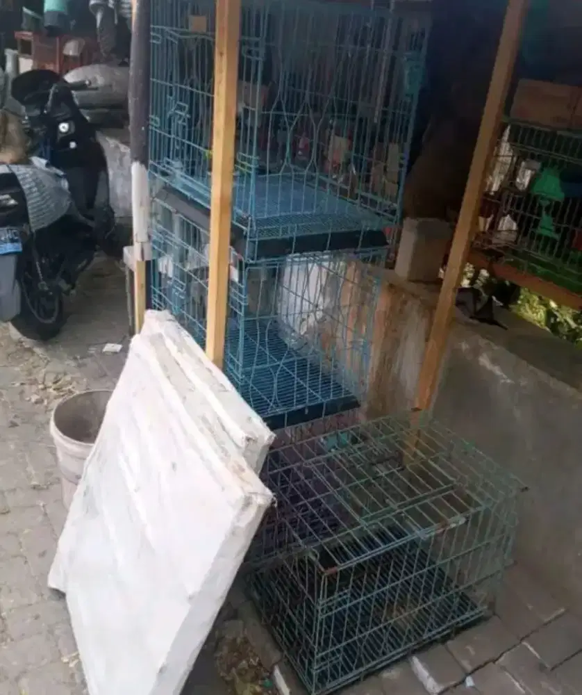 KANDANG BESI DAN BAMBU SANGAT MURAH