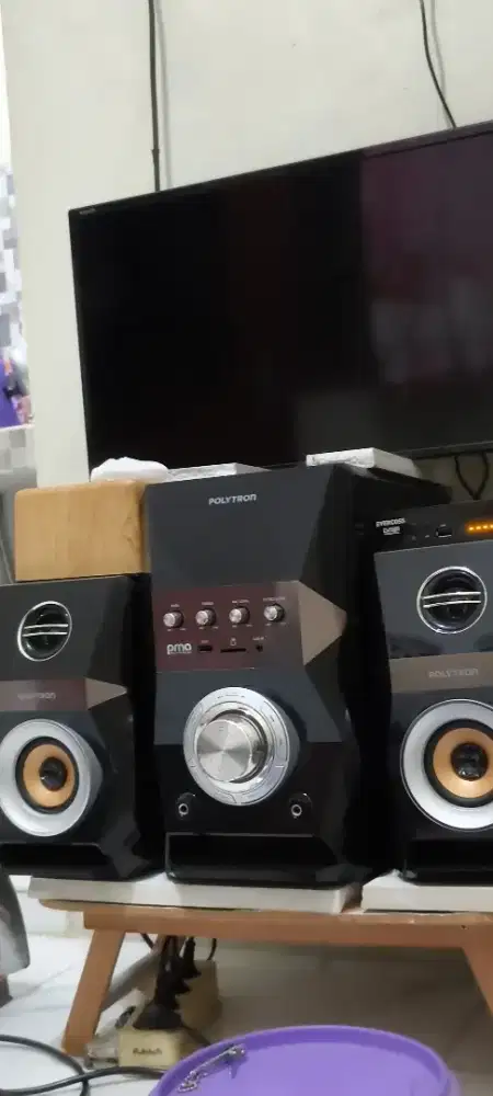 Speaker polytron tv sharp 24 inc