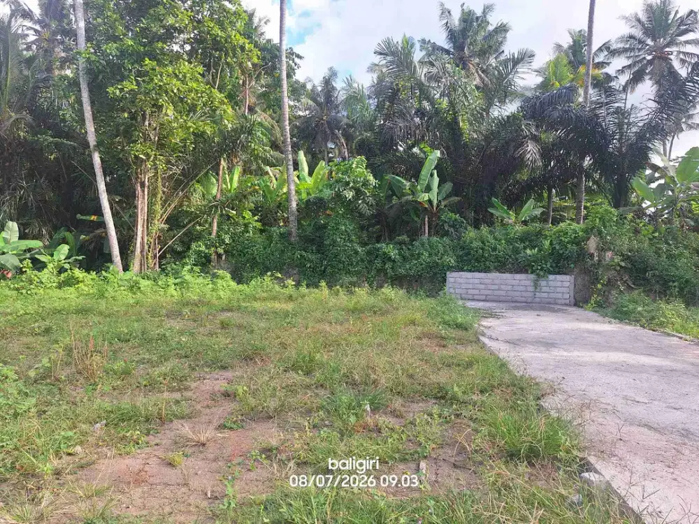Kavling Kertalangu 33
