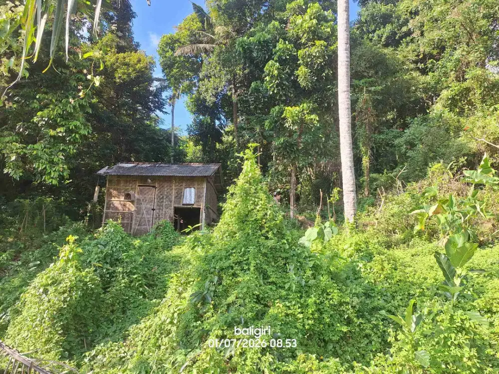 Tanah Murah 4 are di Bali