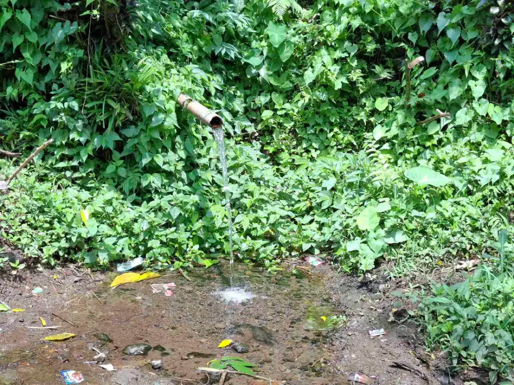 Dijual tanah kebun kopi berisi sumber mata air jernih atau artesis yang mengalir dengan view sawah dan los sungai kecil berbatu