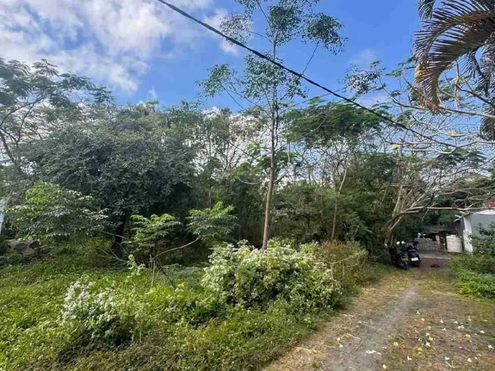 TANAH SUPER MURAH DEKAT AIRIS VILLA UNGASAN KUTA SELATAN BALI