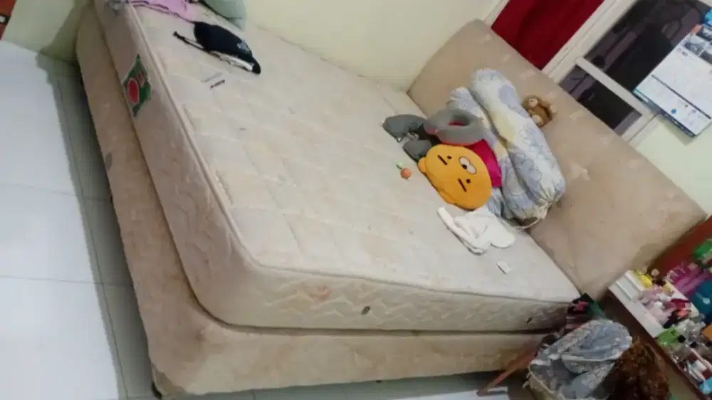 Springbed + Dipan