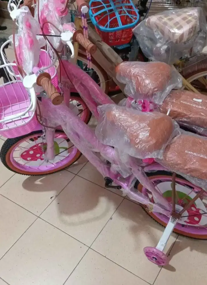 Sepeda Kumbang Anak 16 inchi