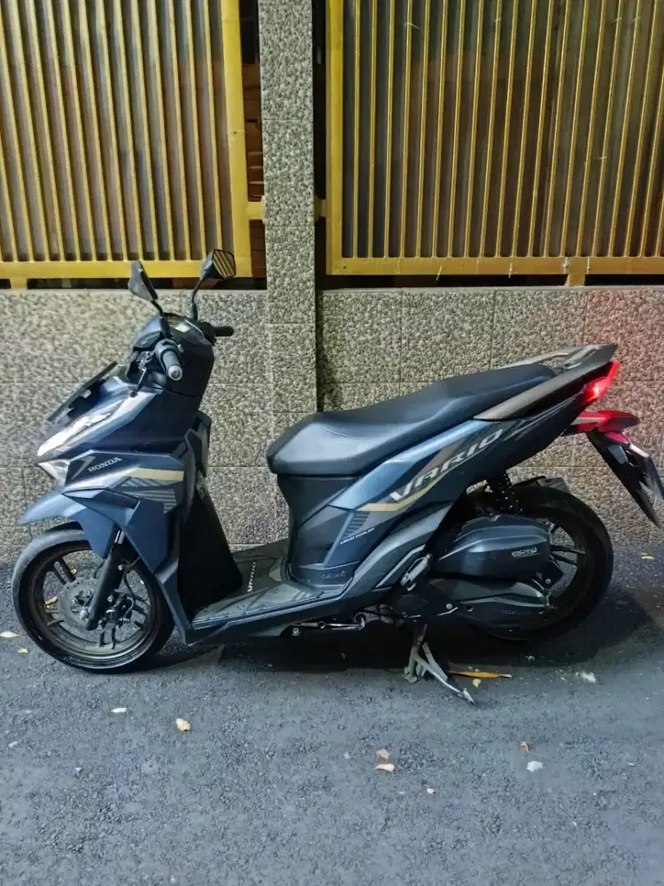 Vario 2024 Cbs Iss