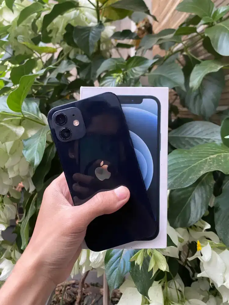 iPhone 12 128gb ex inter