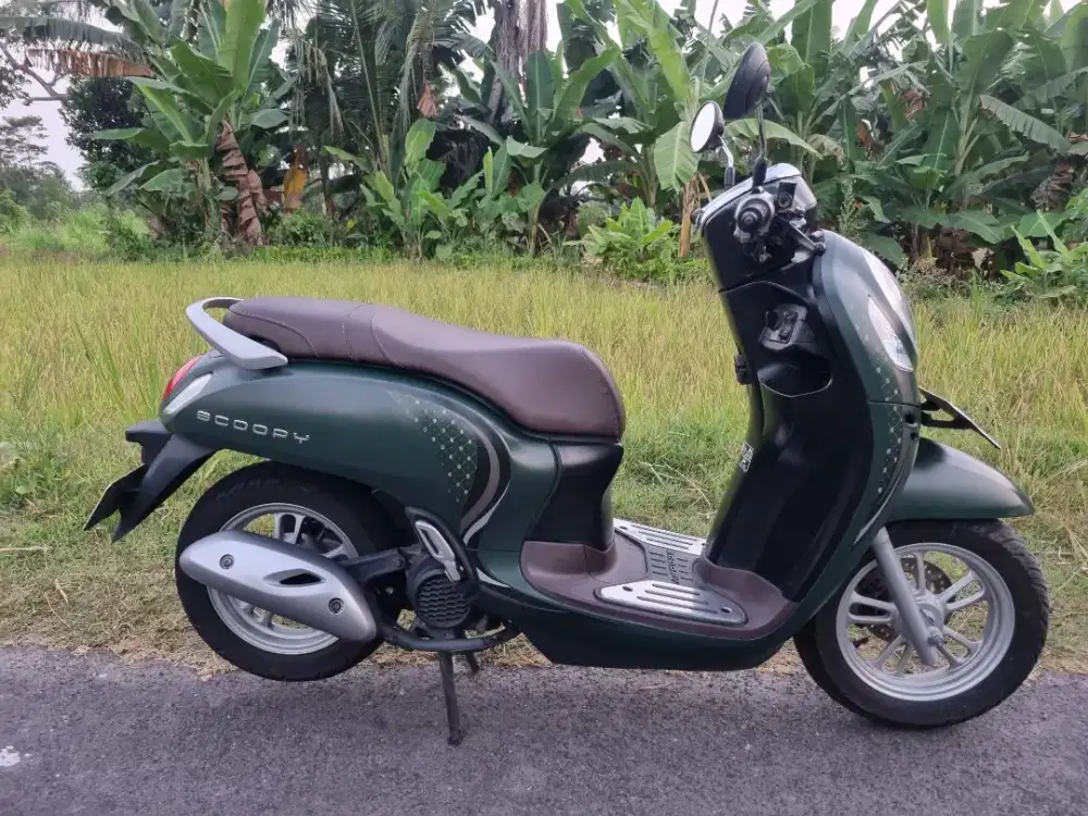 SCOOPY FASHION GREEN 2024