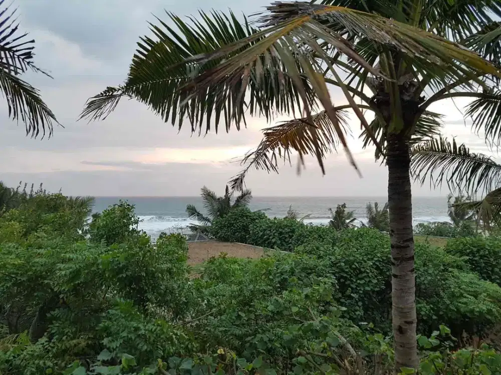 Tanah Premium Ocean View 41 are 
Lokasi - Pantai Pering, Blabatuh, Gianyar