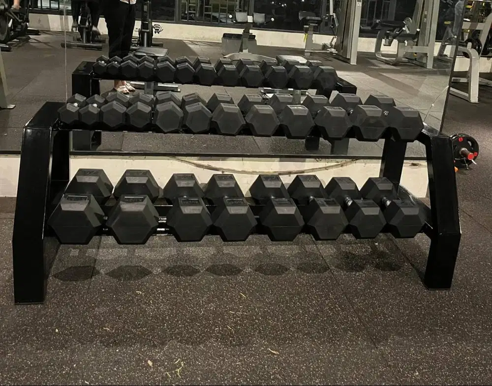 Dumbbell Premium  Set 2,5-25 KG + Rak