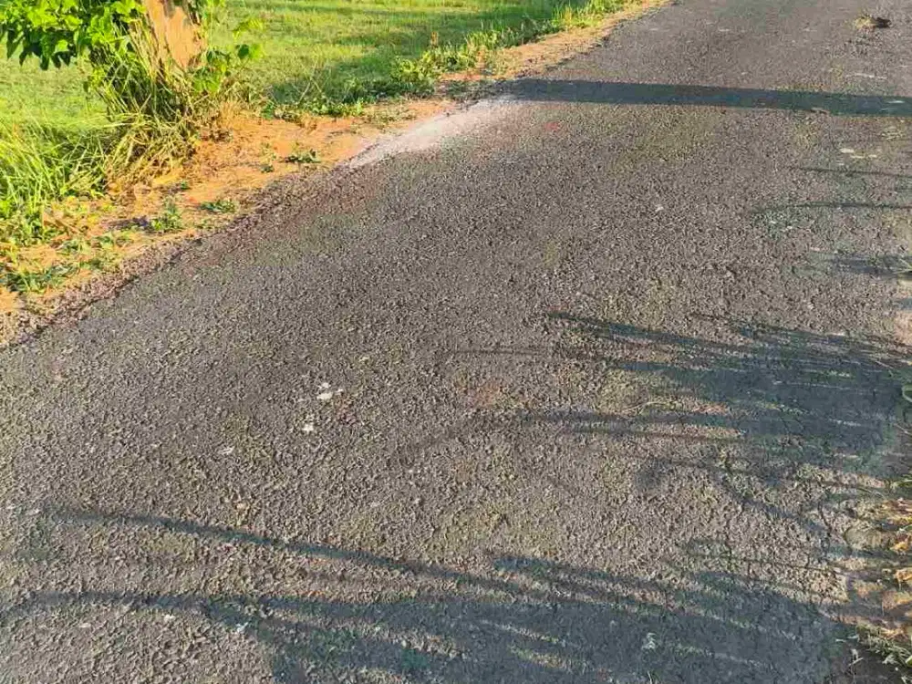 DIJUAL MURAH SAWAH DI JETIS BANTUL  YOGYAKARTA PINGGIR JALAN ASPAL