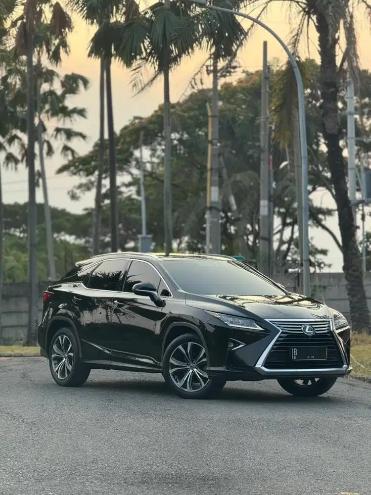 Lexus RX300 RX 300 Luxury 2018