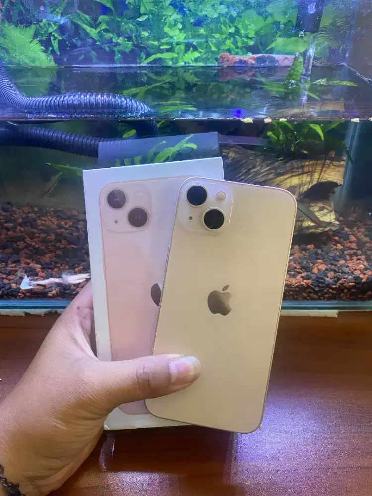 iPhone 13128Gb ex inter