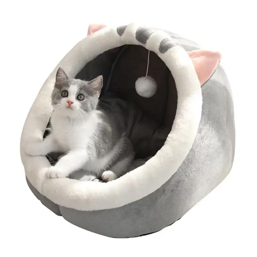 Tempat tidur kucing
