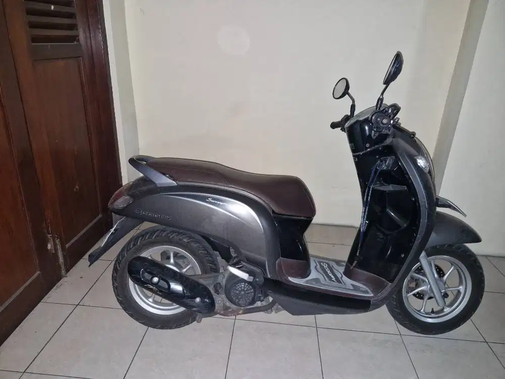 Diju Scoopy 2018
