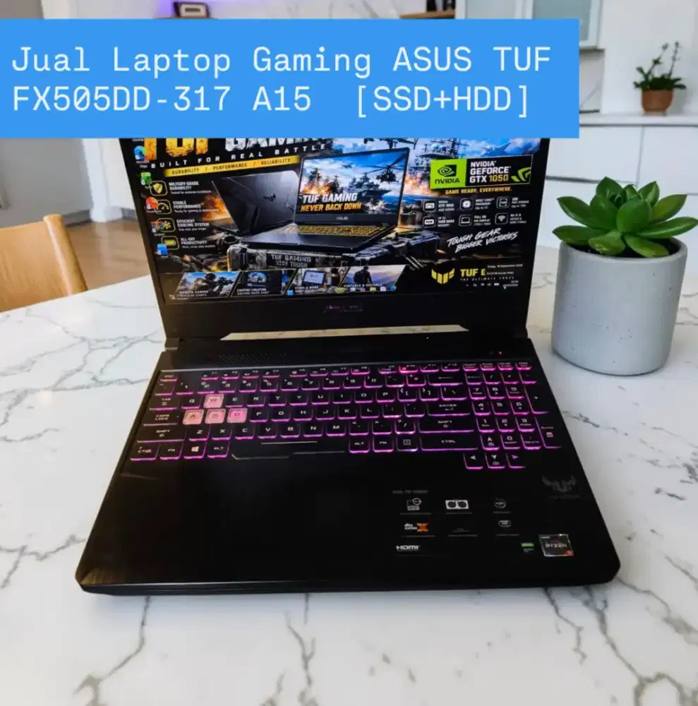 Jual Laptop Gaming ASUS TUF FX505DD-317 A15  [SSD+HDD]