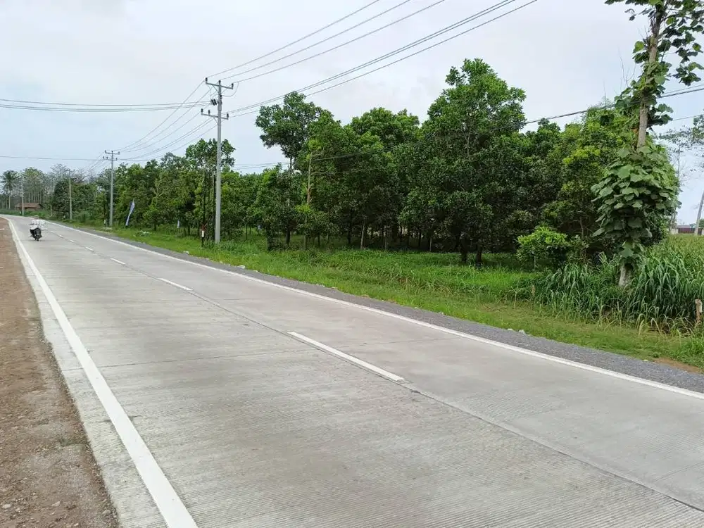 TANAH MURAH ITERA HOMME STAY