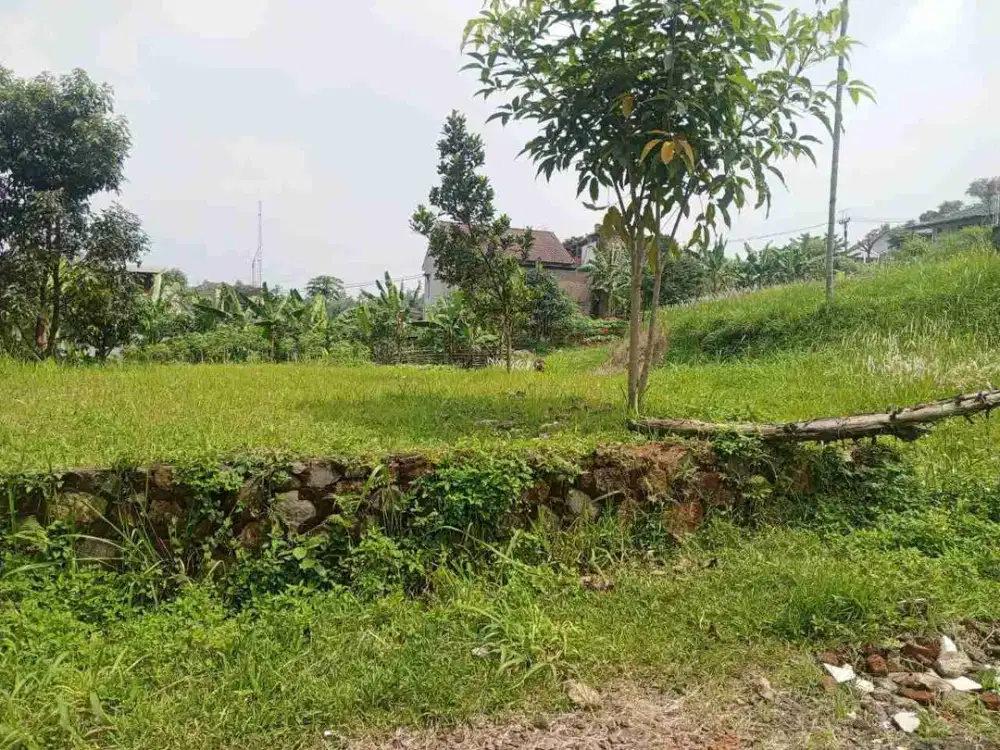 Jarang Ada Tanah Murah Cocok dibangun Kost di dekat Kampus Unjani Cibeber Cimahi selatan
