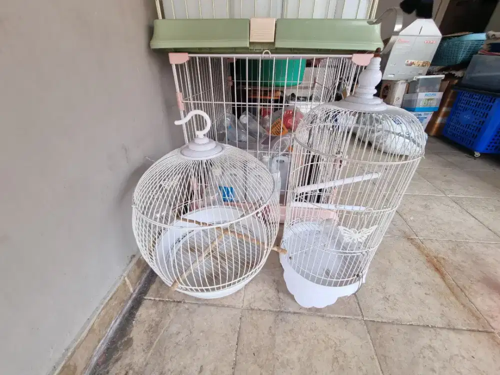 Kandang Burung Bekas