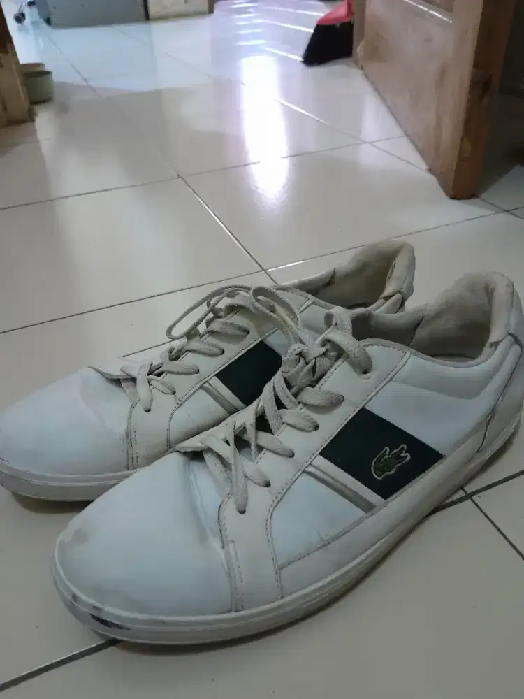 Sepatu Lacoste Original
