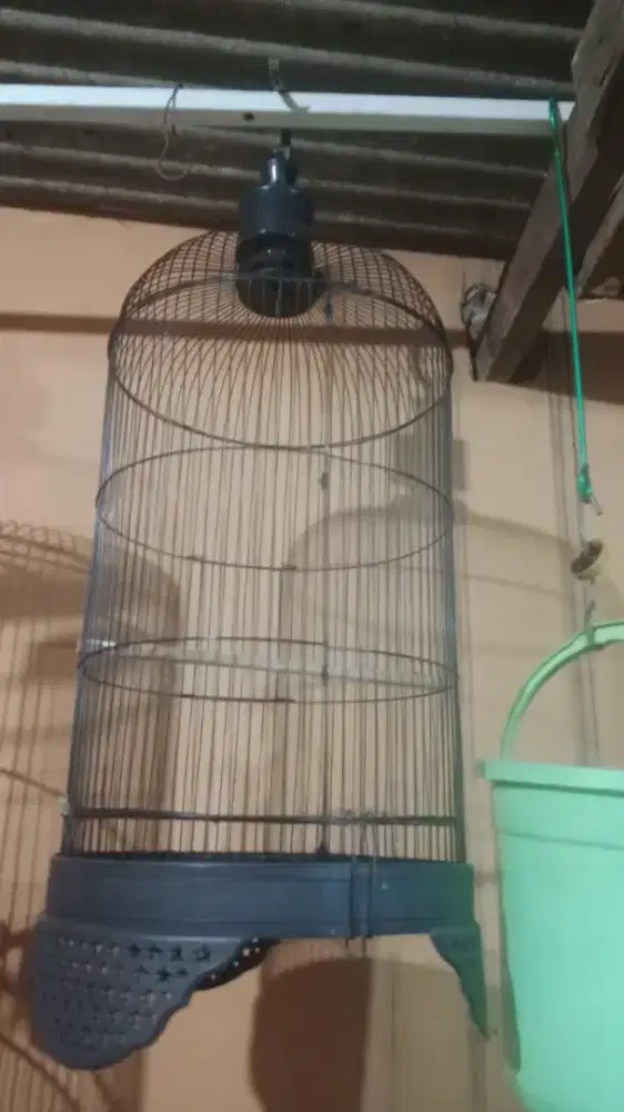 Jual sangkar love bird masih apik