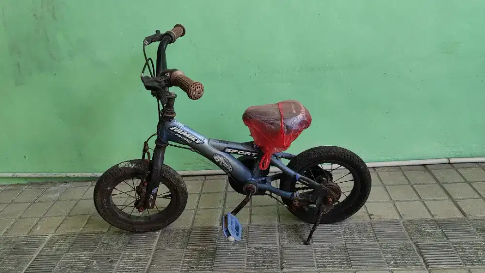 Sepeda Wimcycle 12