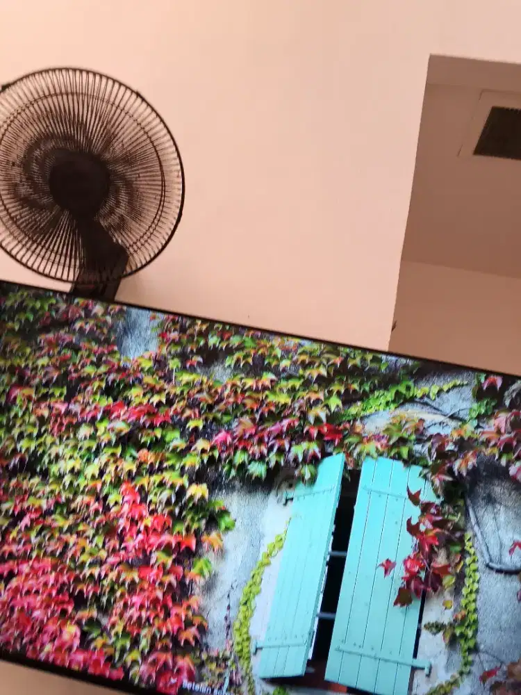 Tv tcl 50in normal