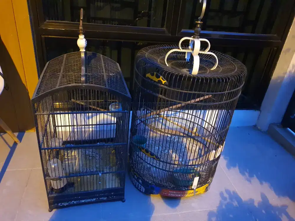 Sangkar burung cantik