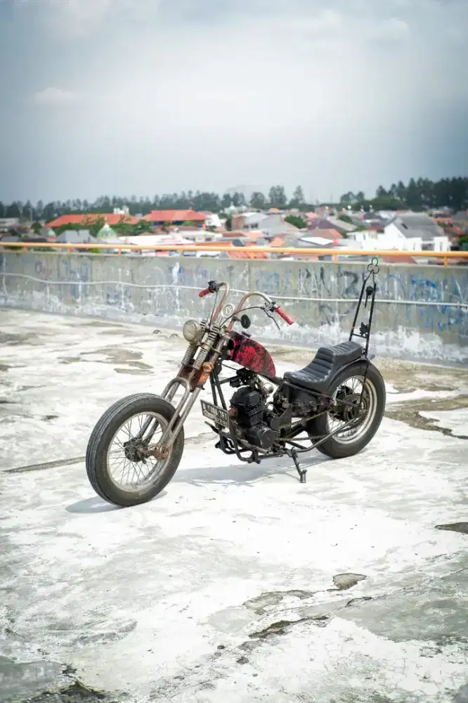 Honda custom megapro tiger