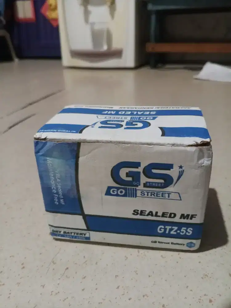 Aki motor gtz5s