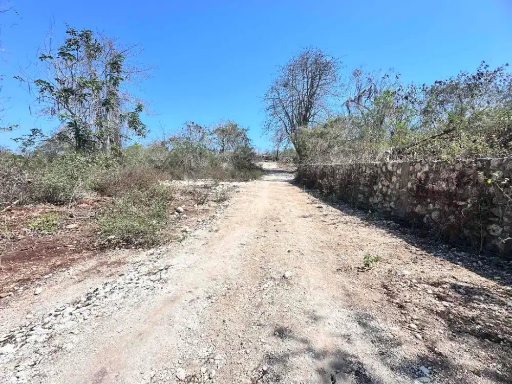 Tanah Kavling MURAH 150 m2 Jl Gayang Sari Kutuh