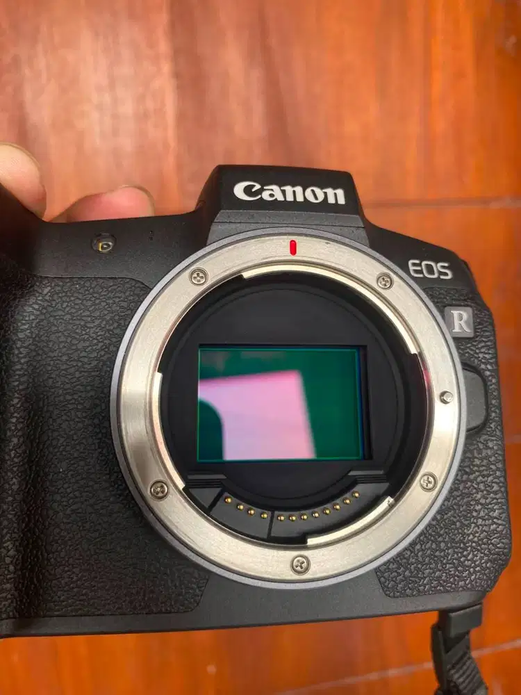 Kamera Mirrorless Canon EOS R Body Only ex Datascript Mulus 99%