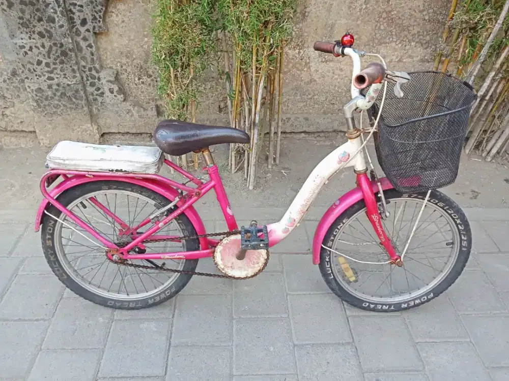 Sepeda anak perempuan WIMCYCLE STRAWBERRY R 20