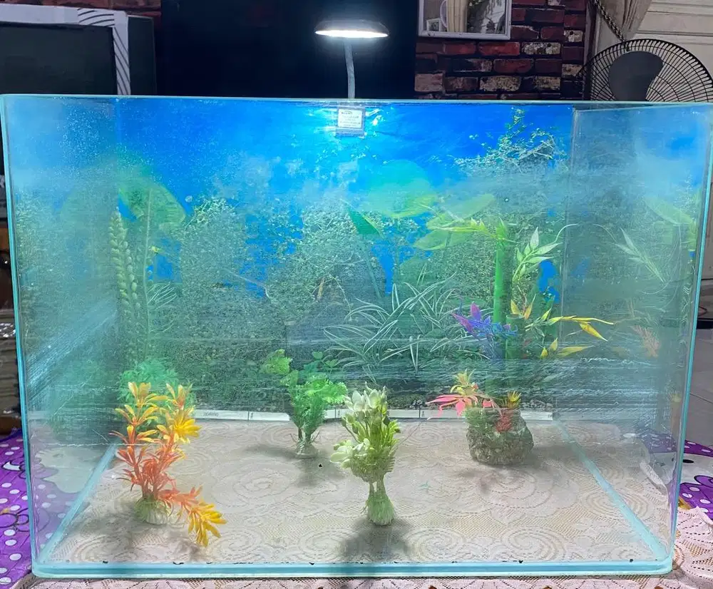 aquariumm ikan.