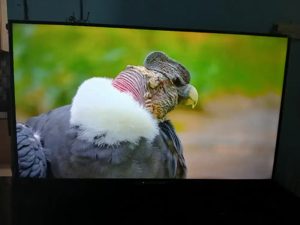 SHARP AQUOS 50 4K Android TV (Tipe: 4T-C50DK1I)