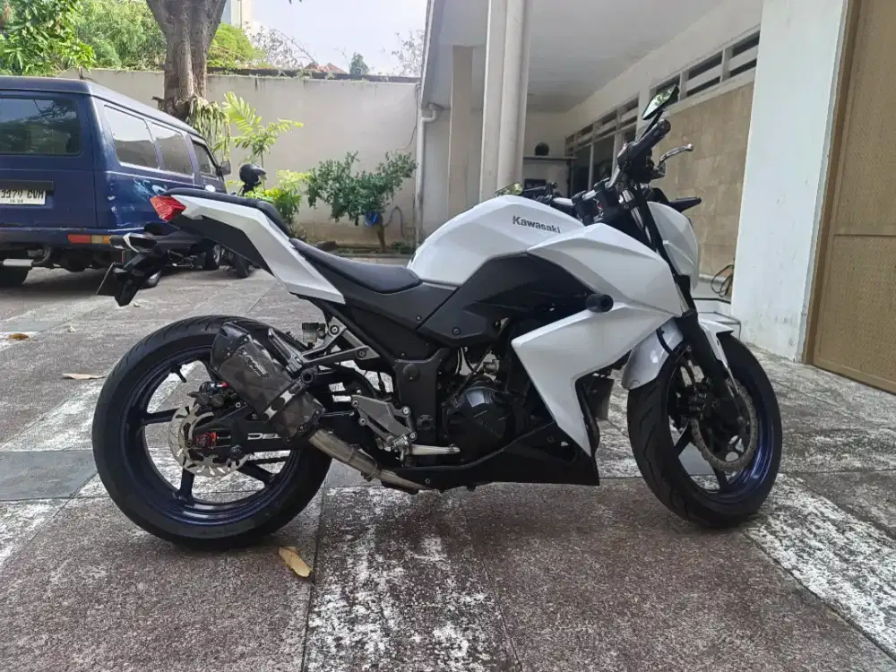 Kawasaki Z250 / Z 250 tahun 2013