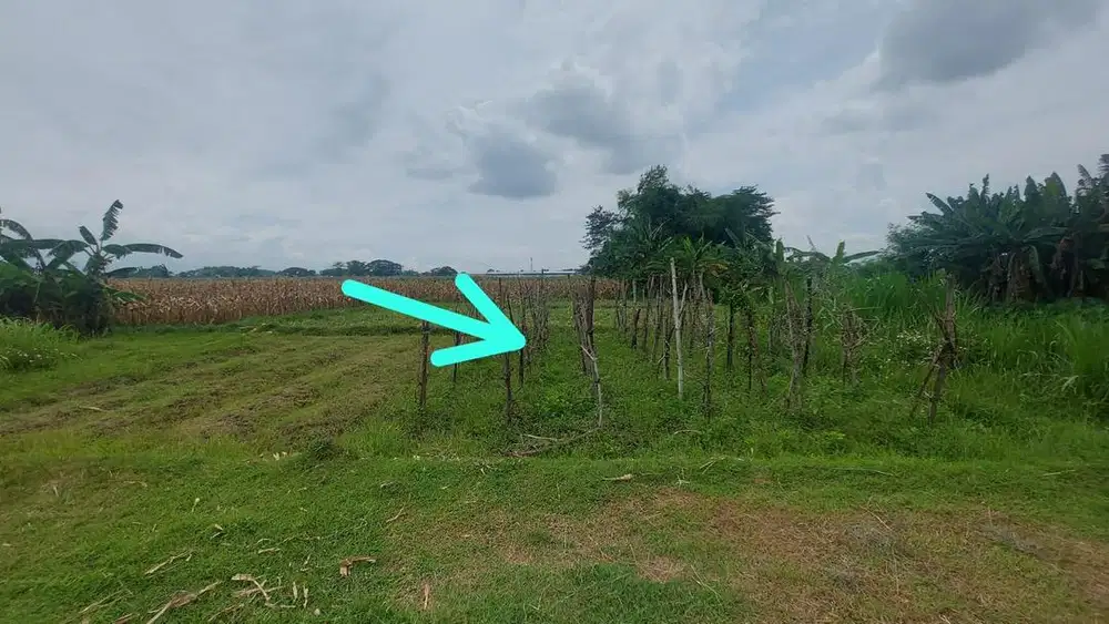 Tanah kavling dijual murah