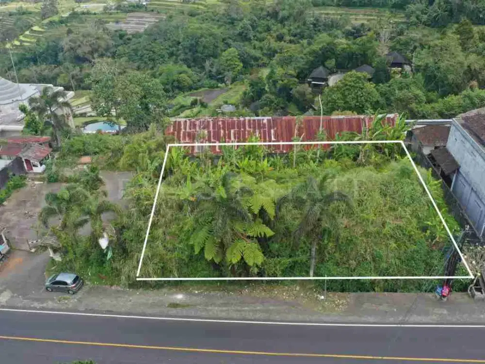 Tanah 6 Are Dijual di Baturiti, Dekat HOMM Saranam & Bali Handara Golf