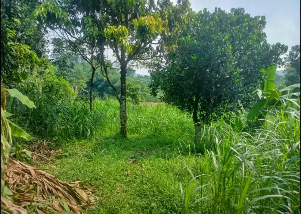 LAHAN 3.000 M² CUMA 180 RB/M² — DATAR, TRUK MASUK, SIAP INVESTASI