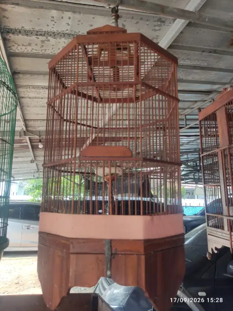Kandang Jati Sangkar Jati Segi 8 Branjangan Sanma Kalandra Bimakula