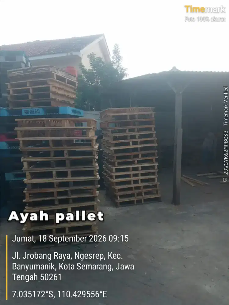 Palet kayu 100 x 100 bekas semarang sktarnya