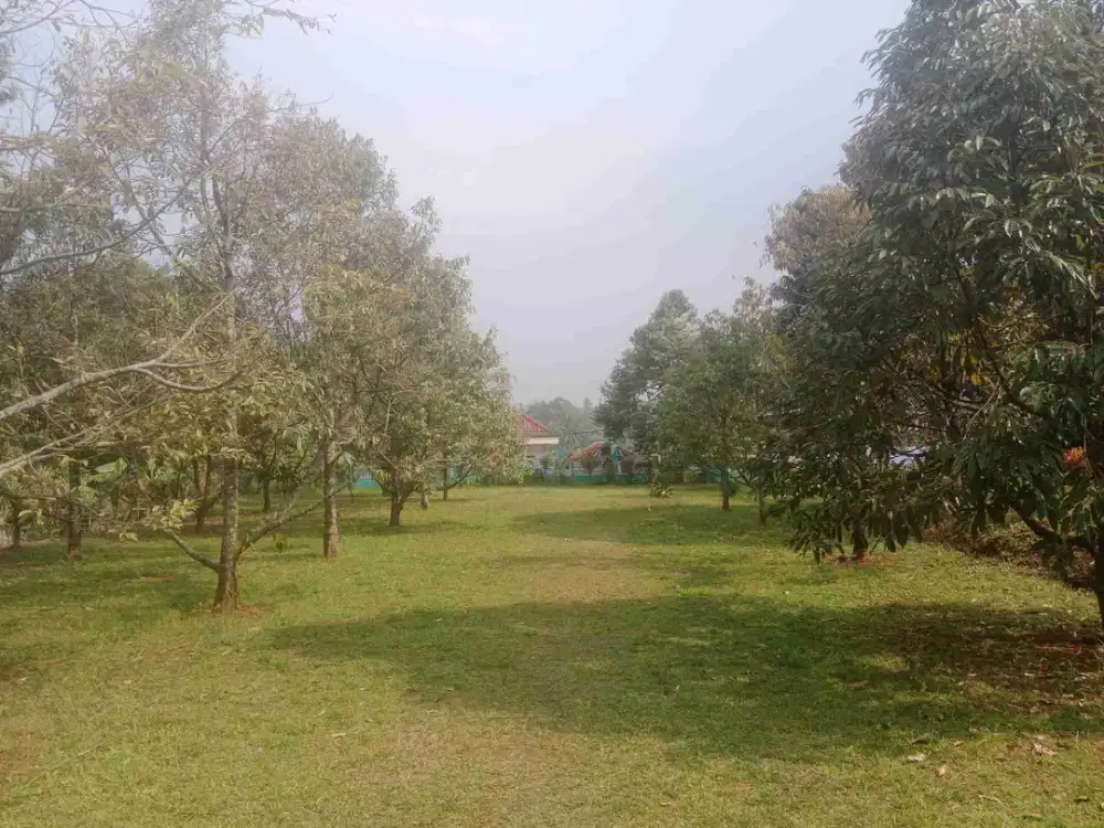 Di jual villa dan kebun Durian setiap musim slalu berbuah.ada kolam ikan dan lahan pertanian