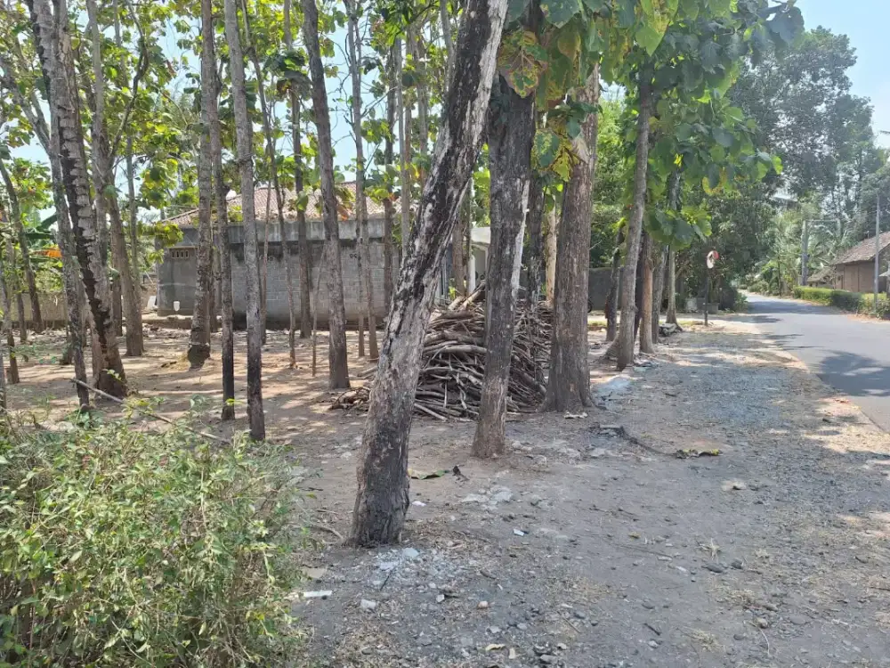 Tanah pekarangan luas