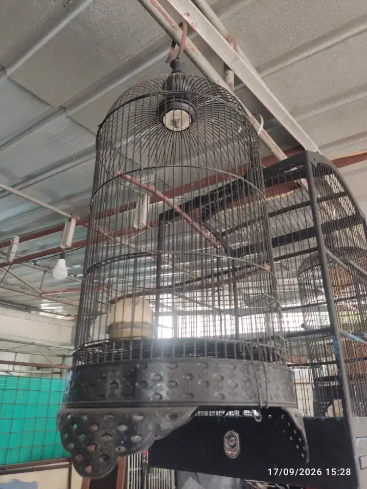 Kandang Besi Tebok Lovebird kondisi mulus