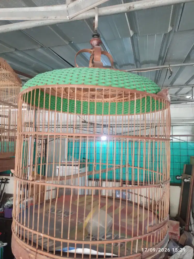 Kandang Murai No. 3 sangkar murai layak pakai