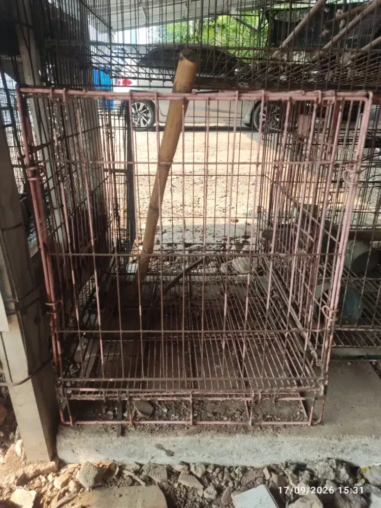 Kandang Besi Kucing Musang Anjing Kelinci Marmut Ayam