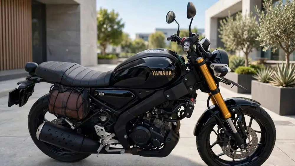 Yamaha XSR ODDO RENDAH