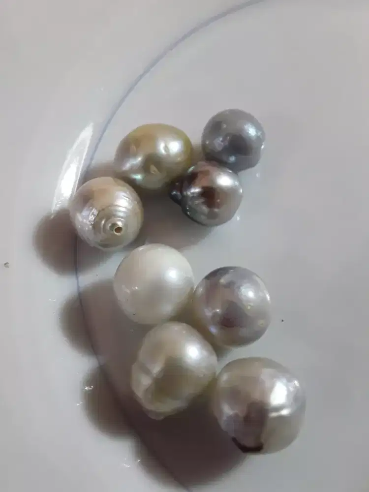 mutiara air laut asli